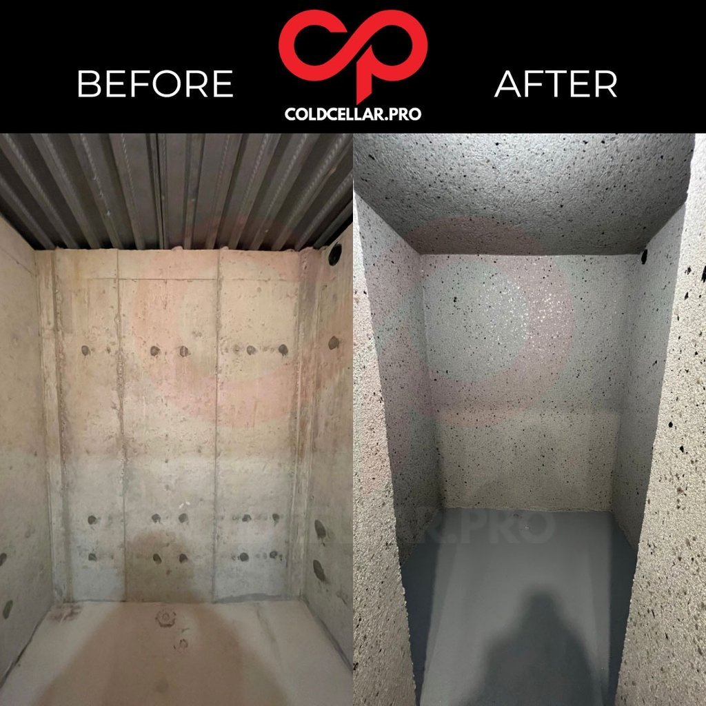Cold cellar with severe condensation and moisture damage before restoration
